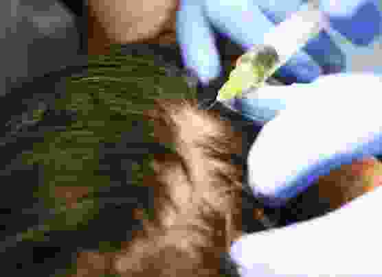 Skinymal Formulations
